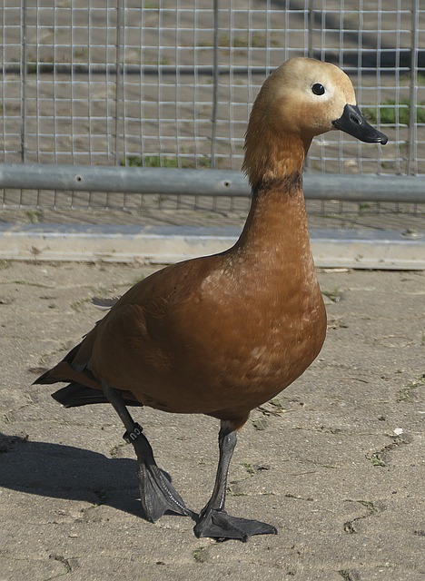 了他们从容