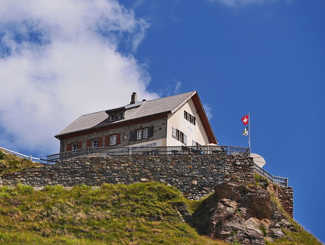 公司OPT